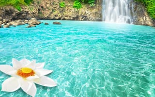 Картинка Большой белый цветок в голубой воде у водопада