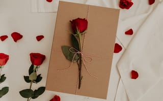 Картинка Красная роза с подарком на кровати для любимой