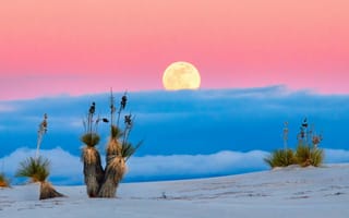 Картинка Большая желтая луна в розовом небе с облаками над пустыней