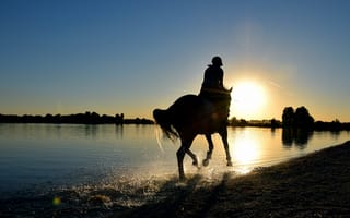 Картинка Девушка на лошади скачет по воде на закате солнца