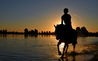 Картинка Девушка на лошади скачет по воде на фоне заката