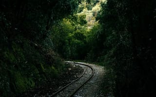Картинка Железнодорожные рельсы в лесу