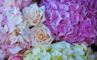 Картинка Букет из цветов гортензии и розы крупным планом