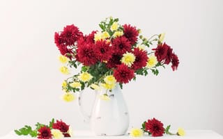 Обои Букет красных и желтых хризантем в вазе на белом фоне