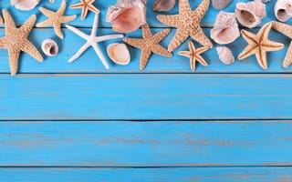 Картинка Ракушки и морские звезды на голубом деревянном фоне