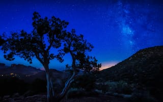 Картинка Дерево у холма под голубым звездным небом ночью