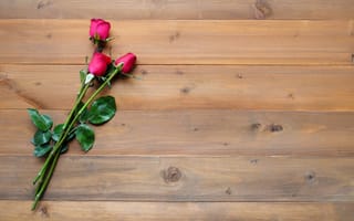 Обои Три красные розы лежат на деревянном столе