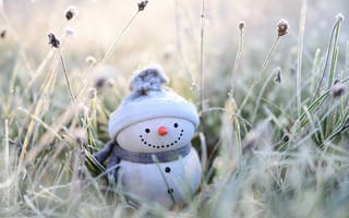 Картинка Фигурка снеговика стоит на покрытой инеем траве