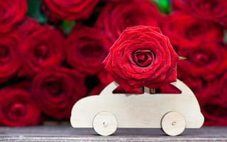 Картинка Красивая красная роза с деревянной машинкой