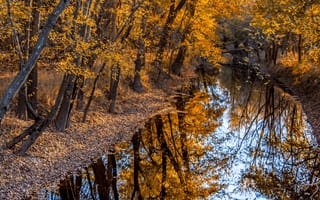 Картинка Тихая река в осеннем лесу