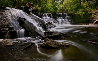 Картинка Быстрая вода стекает по камням водопада в парке