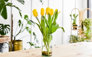 Картинка Букет желтых тюльпанов в стеклянной вазе на столе