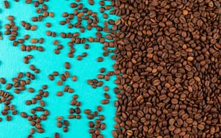 Обои Много обжаренных кофейных зерен на голубом фоне
