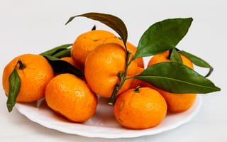 Картинка Свежие оранжевые мандарины с зелеными листьями на белой тарелке