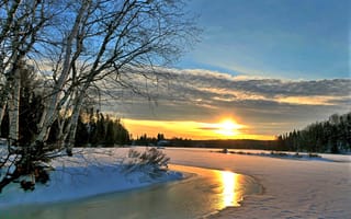 Картинка Березы на берегу покрытой льдом реки на закате солнца зимой