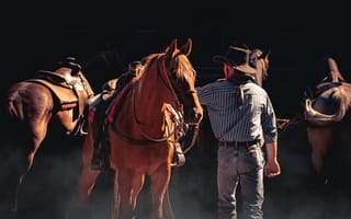 Картинка Мужчина ковбой с коричневой лошадью