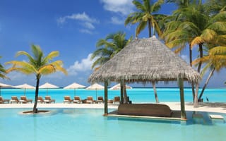 Картинка Шезлонги и пальмы на тропическом пляже у океана с голубой водой