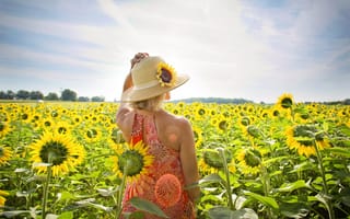 Картинка Красивая девушка в шляпке на поле с подсолнухами летом