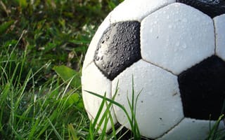Картинка Мокрый футбольный мяч лежит на зеленой траве