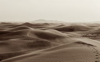 Картинка Бескрайние пески пустыни