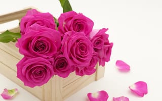 Картинка Букет розовых роз в деревянном ящике