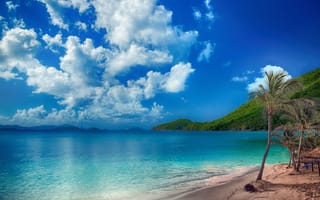 Картинка Красивый берег океана с чистой водой под голубым небом