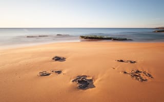 Картинка Камни в песке на берегу моря