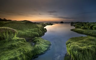 Картинка Покрытые зеленью берега у реки на закате солнца