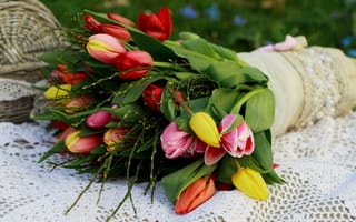 Картинка Красивый букет разноцветных тюльпанов на белой шали