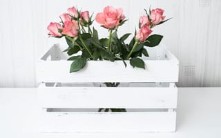 Картинка Розовые розы в белом деревянном ящике