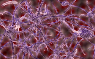 Картинка Нервные клетки под микроскопом 3д графика