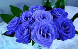 Картинка Красивый букет синих роз крупным планом
