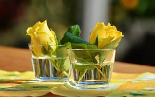 Картинка Желтые цветы розы в стеклянных стаканах