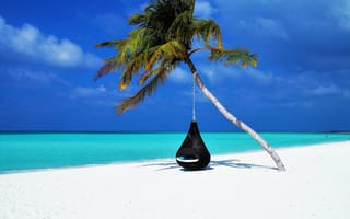 Картинка Черное кресло на пальме на тропическом пляже с белыми песком