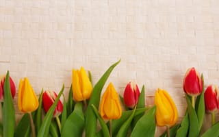 Картинка Желтые и красные тюльпаны на плетеном фоне