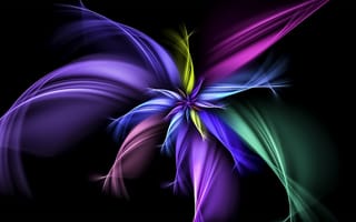 Картинка Разноцветный абстрактный цветок с длинными лепестками на черном фоне