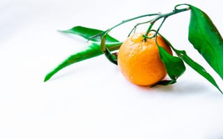 Картинка Оранжевый мандарин с зелеными листьями на белом фоне