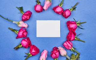 Картинка Белый лист бумаги с розами на голубом фоне