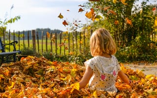 Картинка Маленькая девочка сидит в сухой листве