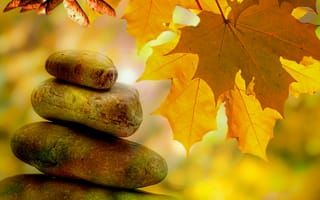 Обои Большие камни с желтыми осенними листьями