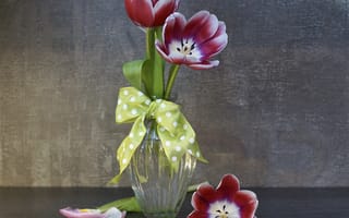 Картинка Три розовых цветка тюльпана в стеклянной вазе у стены