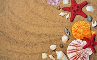 Картинка Разноцветные ракушки и морские звезды на песке