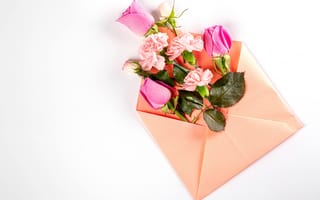 Картинка Розовый конверт с цветами розы и гвоздики на белом фоне
