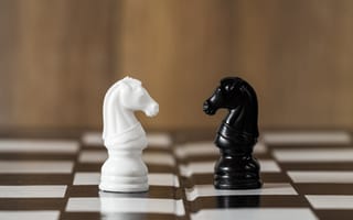 Картинка Черный и белый шахматный конь