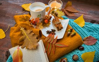 Картинка Листья, свитер, чай и специи на столе