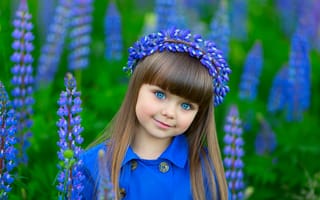 Картинка Красивая маленькая девочка в цветах люпина