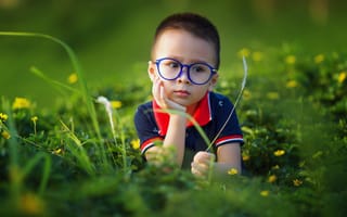 Картинка мальчик, маленький, дети, ребенок, очки, трава, растение