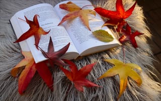 Картинка книга, осень, осенние, время года, сезоны, сезонные, кленовый лист, лист, клен, листья, листва