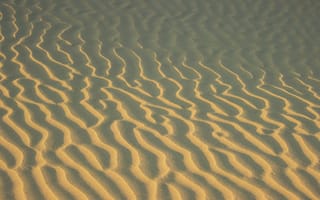 Картинка пустыня, песок, песчаный, природа