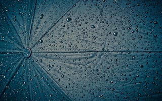 Картинка капля, капли, жидкость, влага, дождь, разные, зонт
